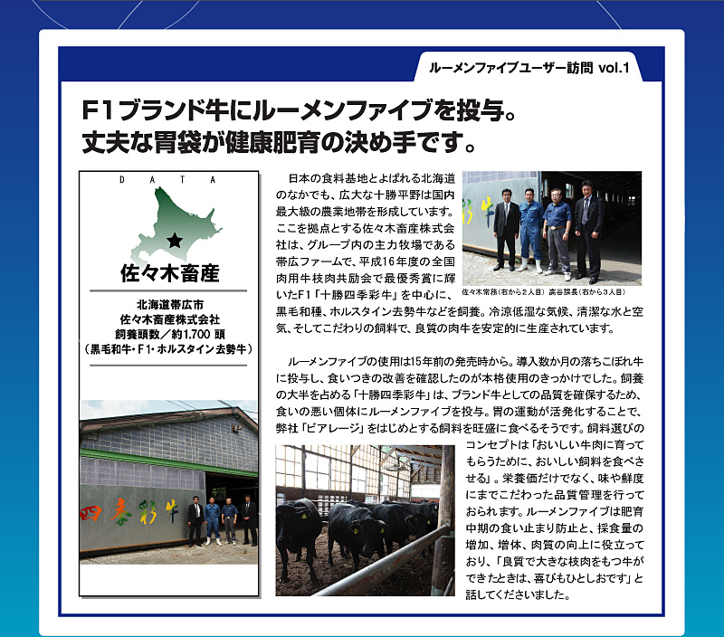 ���[�����t�@�C�u ���[�U�[�K��u���X�ؒ{�Y�v